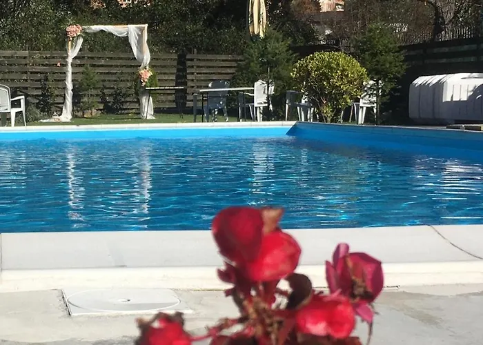 Хотел маймун дере-басейн, хотел, италианска пица