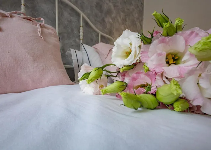 маймун дере-басейн, хотел, италианска пица